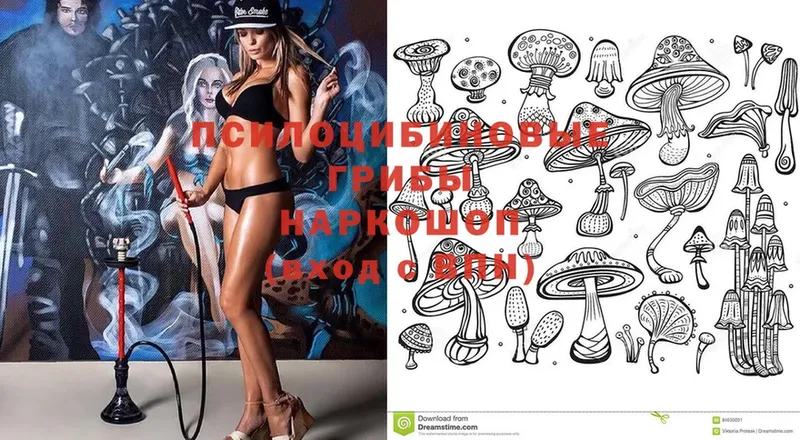 магазин продажи   Апрелевка  Псилоцибиновые грибы MAGIC MUSHROOMS 